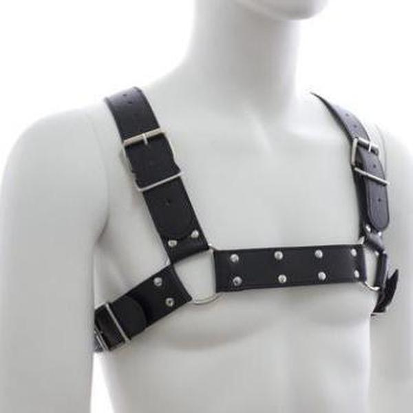 The Thor Harness - Trending Gay